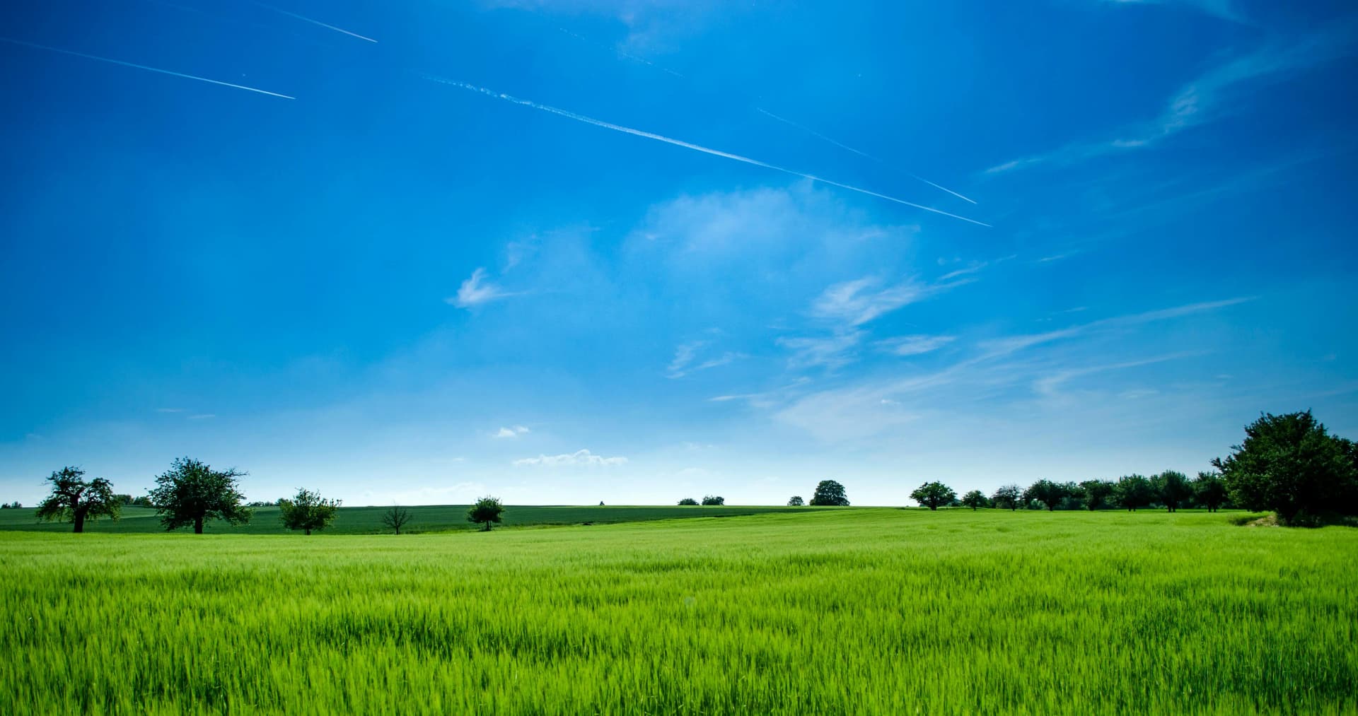 Agricultura Sostenible: El Futuro del Comercio Global